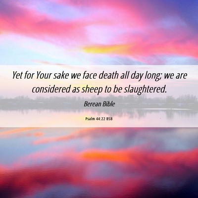 Picture 06 - Psalm 44:22 BSB - Yet for Your sake we face death all day long; we - Bible Verse Picture