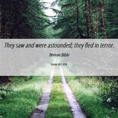 Picture 06 - Psalm 48:5 BSB - They saw and were astounded; they fled in - Bible Verse Picture