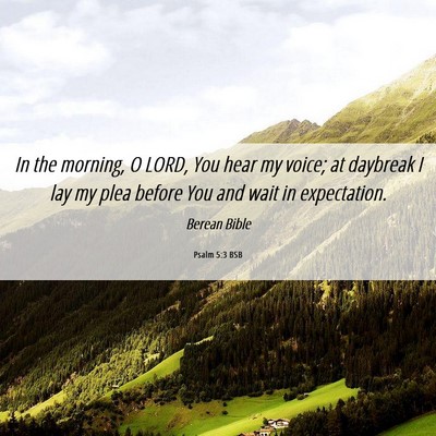 Picture 06 - Psalm 5:3 BSB - In the morning, O LORD, You hear my voice; at - Bible Verse Picture