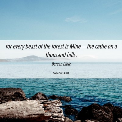 Picture 06 - Psalm 50:10 BSB - for every beast of the forest is Mine—the - Bible Verse Picture