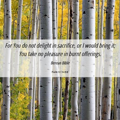 Picture 06 - Psalm 51:16 BSB - For You do not delight in sacrifice, or I would - Bible Verse Picture