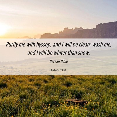 Picture 06 - Psalm 51:7 BSB - Purify me with hyssop, and I will be clean; wash - Bible Verse Picture