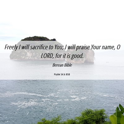 Picture 06 - Psalm 54:6 BSB - Freely I will sacrifice to You; I will praise - Bible Verse Picture