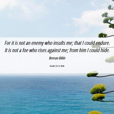 Picture 06 - Psalm 55:12 BSB - For it is not an enemy who insults me; that I - Bible Verse Picture
