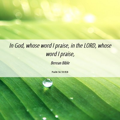 Picture 06 - Psalm 56:10 BSB - In God, whose word I praise, in the LORD, whose - Bible Verse Picture