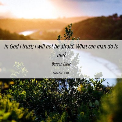 Picture 06 - Psalm 56:11 BSB - in God I trust; I will not be afraid. What can - Bible Verse Picture
