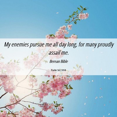 Picture 06 - Psalm 56:2 BSB - My enemies pursue me all day long, for many - Bible Verse Picture