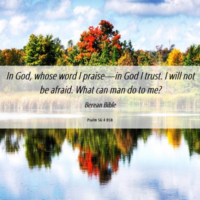 Picture 06 - Psalm 56:4 BSB - In God, whose word I praise—in God I trust. I - Bible Verse Picture