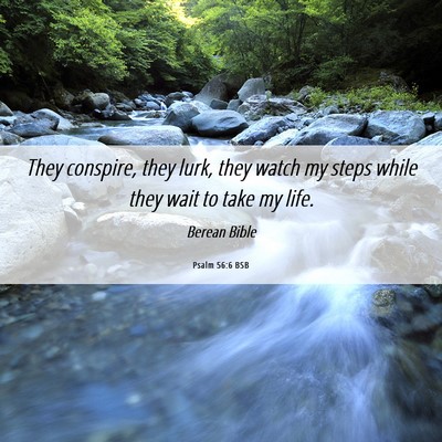 Picture 06 - Psalm 56:6 BSB - They conspire, they lurk, they watch my steps - Bible Verse Picture