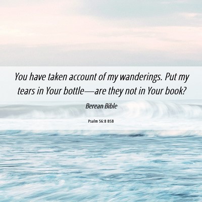 Picture 06 - Psalm 56:8 BSB - You have taken account of my wanderings. Put my - Bible Verse Picture