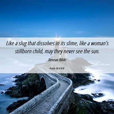 Picture 06 - Psalm 58:8 BSB - Like a slug that dissolves in its slime, like a - Bible Verse Picture