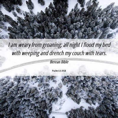 Picture 06 - Psalm 6:6 BSB - I am weary from groaning; all night I flood my - Bible Verse Picture