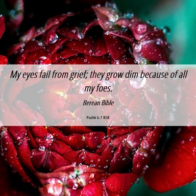 Picture 06 - Psalm 6:7 BSB - My eyes fail from grief; they grow dim because of - Bible Verse Picture