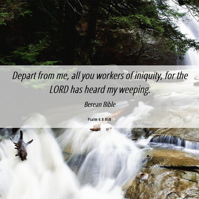 Picture 06 - Psalm 6:8 BSB - Depart from me, all you workers of iniquity, for - Bible Verse Picture