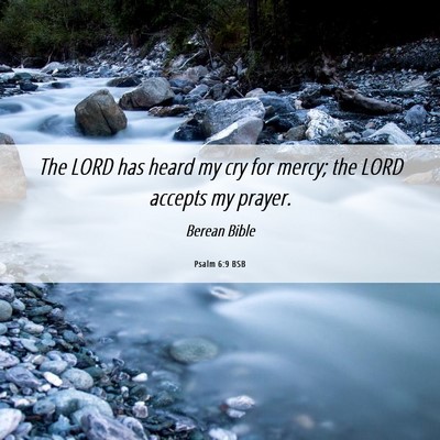 Picture 06 - Psalm 6:9 BSB - The LORD has heard my cry for mercy; the LORD - Bible Verse Picture