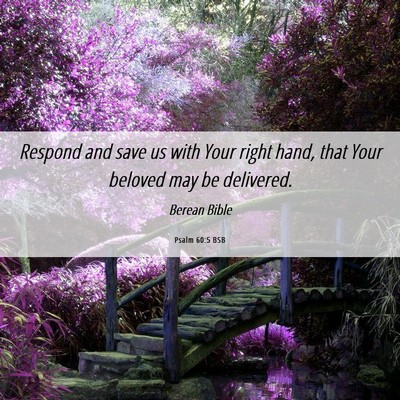 Picture 06 - Psalm 60:5 BSB - Respond and save us with Your right hand, that - Bible Verse Picture