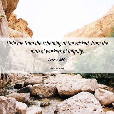 Picture 06 - Psalm 64:2 BSB - Hide me from the scheming of the wicked, from the - Bible Verse Picture