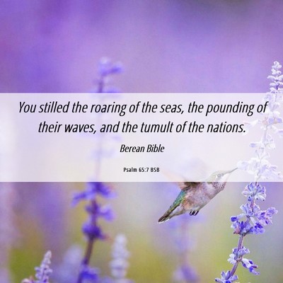 Picture 06 - Psalm 65:7 BSB - You stilled the roaring of the seas, the pounding - Bible Verse Picture