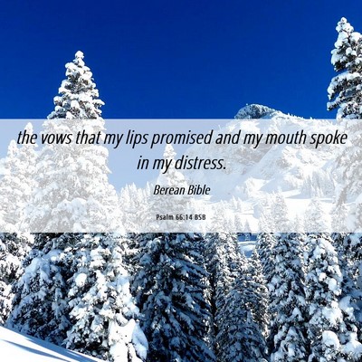 Picture 06 - Psalm 66:14 BSB - the vows that my lips promised and my mouth spoke - Bible Verse Picture