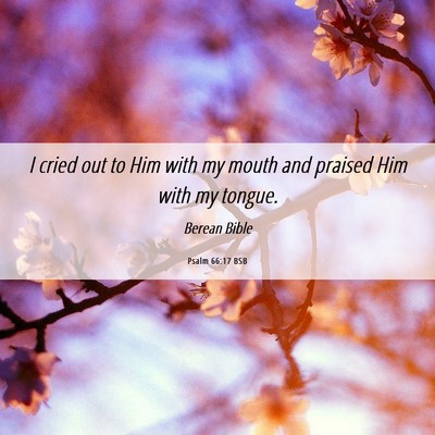 Picture 06 - Psalm 66:17 BSB - I cried out to Him with my mouth and praised Him - Bible Verse Picture