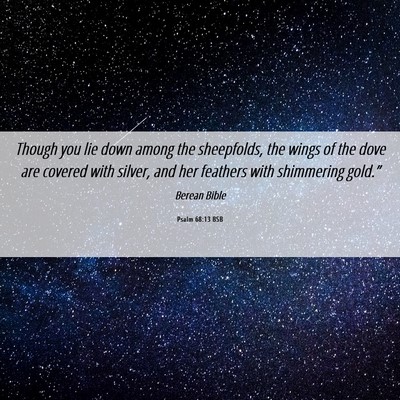 Picture 06 - Psalm 68:13 BSB - Though you lie down among the sheepfolds, the - Bible Verse Picture