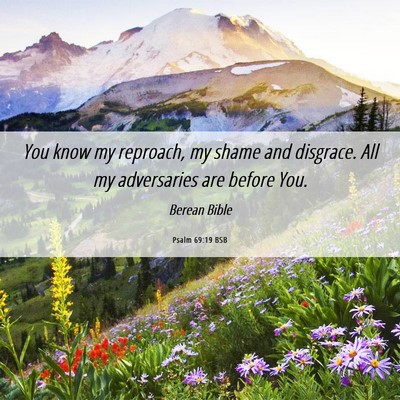 Picture 06 - Psalm 69:19 BSB - You know my reproach, my shame and disgrace. All - Bible Verse Picture