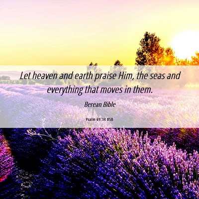 Picture 06 - Psalm 69:34 BSB - Let heaven and earth praise Him, the seas and - Bible Verse Picture