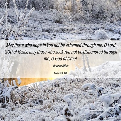 Picture 06 - Psalm 69:6 BSB - May those who hope in You not be ashamed through - Bible Verse Picture