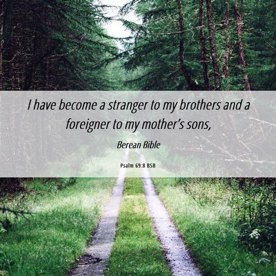 Picture 06 - Psalm 69:8 BSB - I have become a stranger to my brothers and a - Bible Verse Picture
