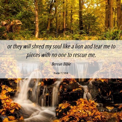Picture 06 - Psalm 7:2 BSB - or they will shred my soul like a lion and tear - Bible Verse Picture