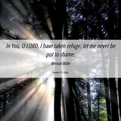 Picture 06 - Psalm 71:1 BSB - In You, O LORD, I have taken refuge; let me never - Bible Verse Picture
