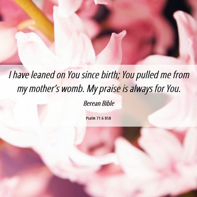 Picture 06 - Psalm 71:6 BSB - I have leaned on You since birth; You pulled me - Bible Verse Picture