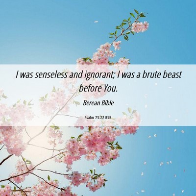 Picture 06 - Psalm 73:22 BSB - I was senseless and ignorant; I was a brute beast - Bible Verse Picture