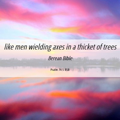 Picture 06 - Psalm 74:5 BSB - like men wielding axes in a thicket of - Bible Verse Picture