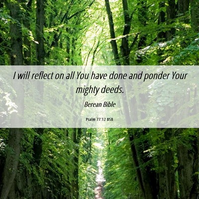 Picture 06 - Psalm 77:12 BSB - I will reflect on all You have done and ponder - Bible Verse Picture