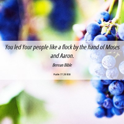 Picture 06 - Psalm 77:20 BSB - You led Your people like a flock by the hand of - Bible Verse Picture