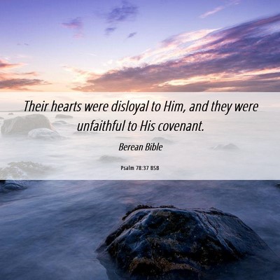 Picture 06 - Psalm 78:37 BSB - Their hearts were disloyal to Him, and they were - Bible Verse Picture