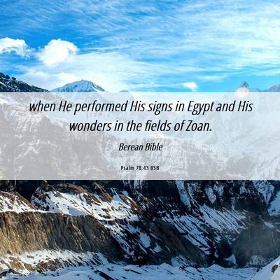 Picture 06 - Psalm 78:43 BSB - when He performed His signs in Egypt and His - Bible Verse Picture