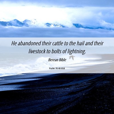 Picture 06 - Psalm 78:48 BSB - He abandoned their cattle to the hail and their - Bible Verse Picture