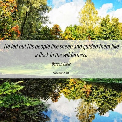Picture 06 - Psalm 78:52 BSB - He led out His people like sheep and guided them - Bible Verse Picture