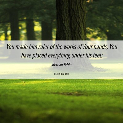 Picture 06 - Psalm 8:6 BSB - You made him ruler of the works of Your hands; - Bible Verse Picture