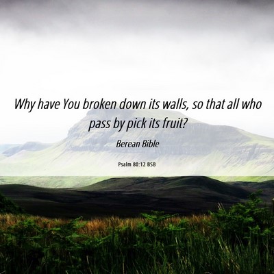 Picture 06 - Psalm 80:12 BSB - Why have You broken down its walls, so that all - Bible Verse Picture