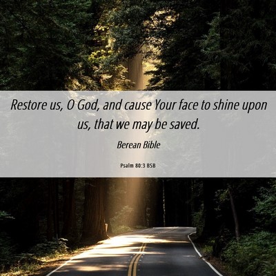 Picture 06 - Psalm 80:3 BSB - Restore us, O God, and cause Your face to shine - Bible Verse Picture