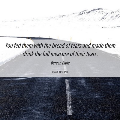 Picture 06 - Psalm 80:5 BSB - You fed them with the bread of tears and made - Bible Verse Picture