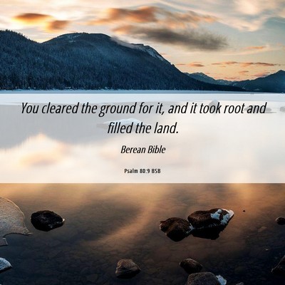 Picture 06 - Psalm 80:9 BSB - You cleared the ground for it, and it took root - Bible Verse Picture