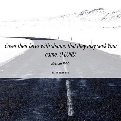 Picture 06 - Psalm 83:16 BSB - Cover their faces with shame, that they may seek - Bible Verse Picture