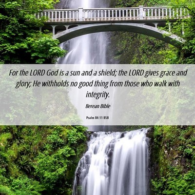 Picture 06 - Psalm 84:11 BSB - For the LORD God is a sun and a shield; the LORD - Bible Verse Picture