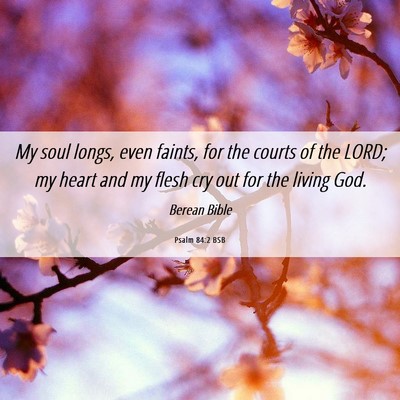 Picture 06 - Psalm 84:2 BSB - My soul longs, even faints, for the courts of the - Bible Verse Picture