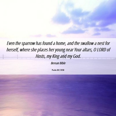 Picture 06 - Psalm 84:3 BSB - Even the sparrow has found a home, and the - Bible Verse Picture