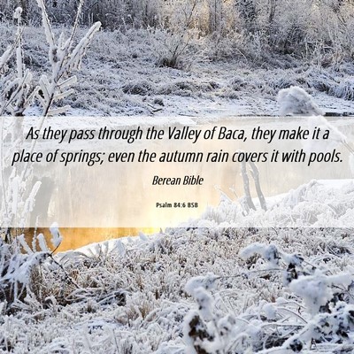 Picture 06 - Psalm 84:6 BSB - As they pass through the Valley of Baca, they - Bible Verse Picture